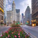 Magnificent Mile