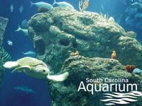 South Carolina Aquarium