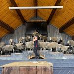 Agrodome