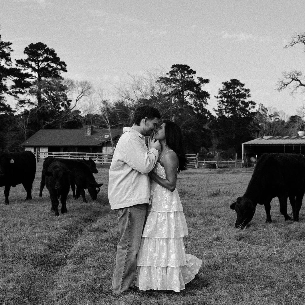 With the cows 🤍
