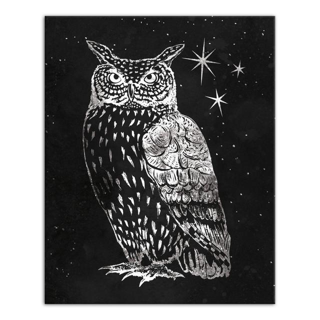 Designs Direct Grey Night Owl 16-Inch x 20-Inch Canvas Wall Art