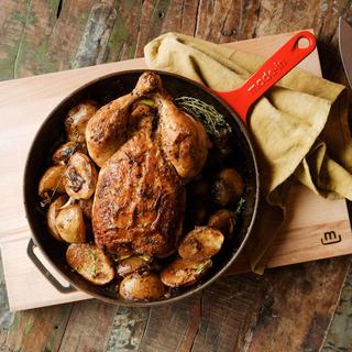 Enameled Cast Iron Skillet