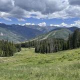 Berrypicker Trail