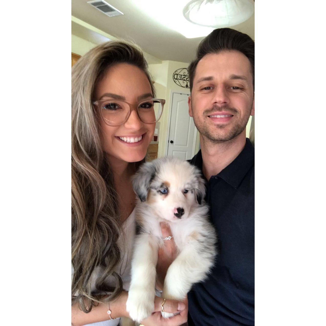 March 15 2019 We truly became a family! Baby Apollo! Wuff!