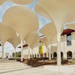 Blanton Museum of Art