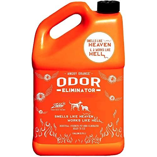ANGRY ORANGE Ready-to-Use Citrus Pet Odor Eliminator Pet Spray - Urine Remover and Carpet Deodorizer for Dogs and Cats