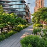 The High Line