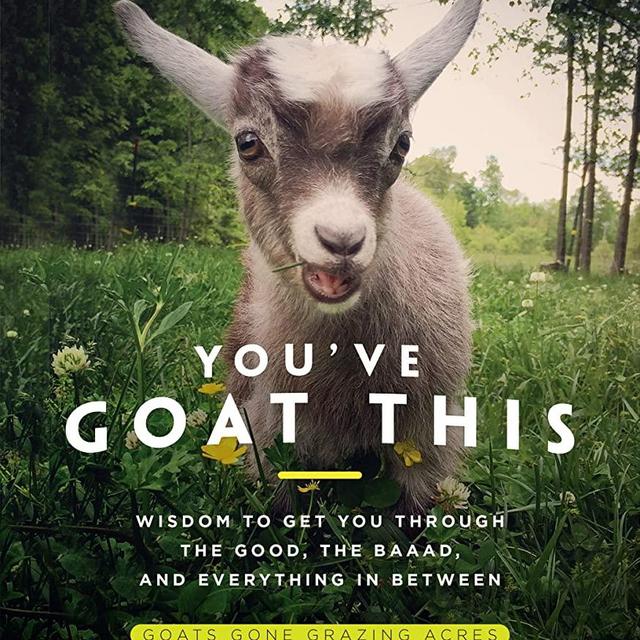 You've Goat This: Wisdom to Get You Through the Good, the Baaad, and Everything in Between