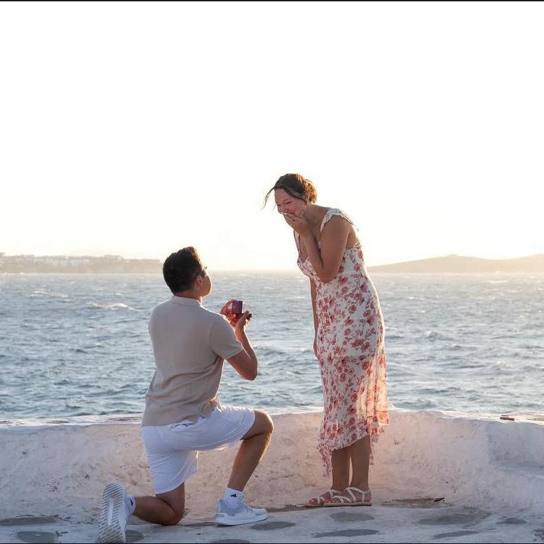 His proposal...