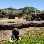 Honolulu Zoo