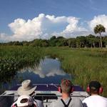 Everglades Day Safari