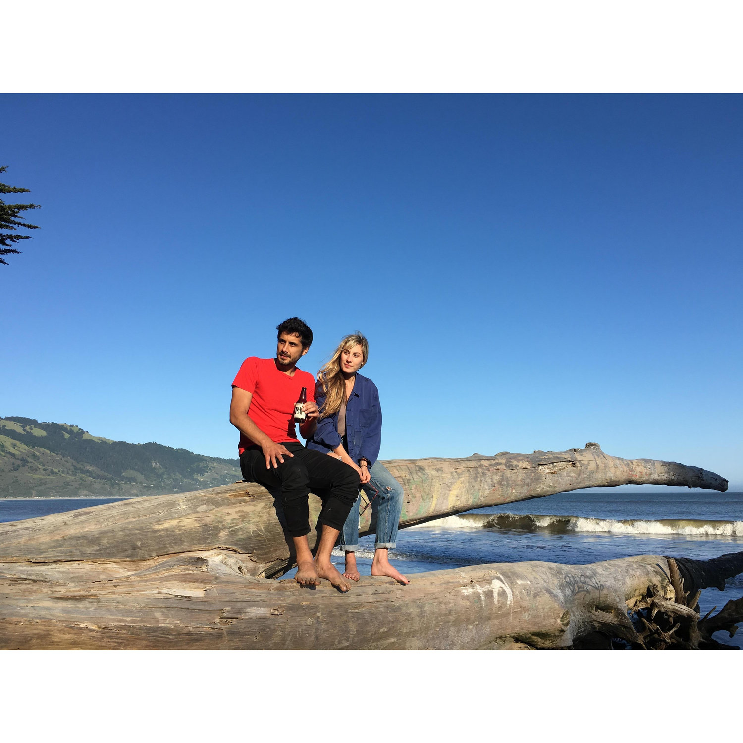 Bolinas, 2016