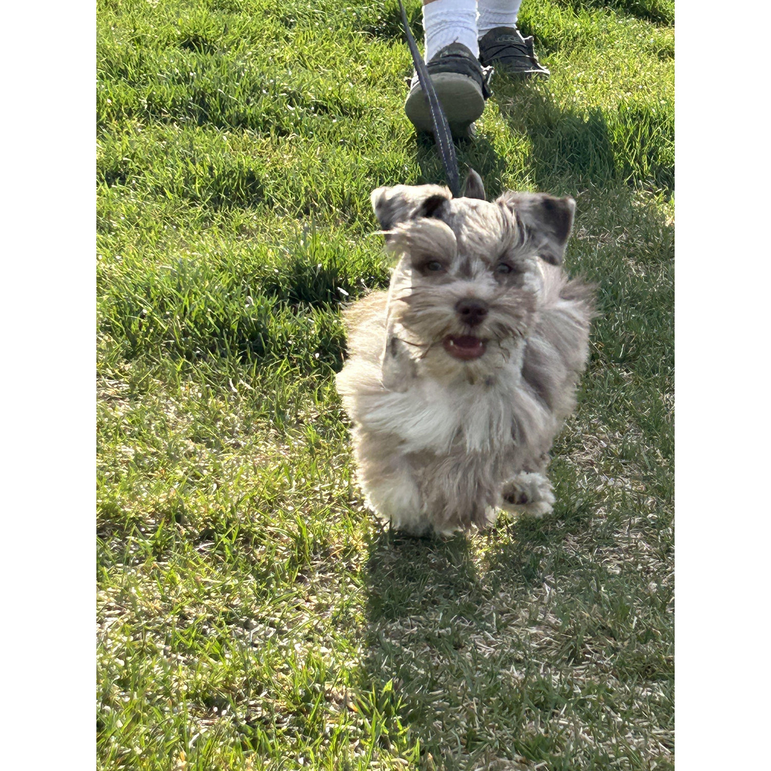 Celebrated 3 years with our new baby!
