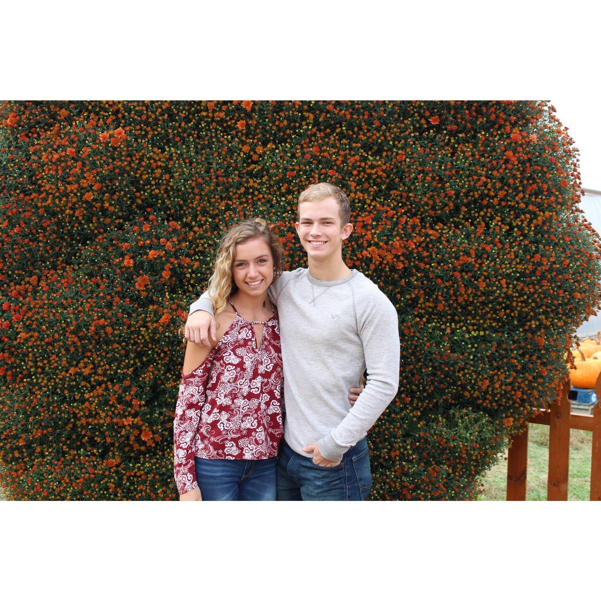 Butcher Family Farm - October 8, 2016