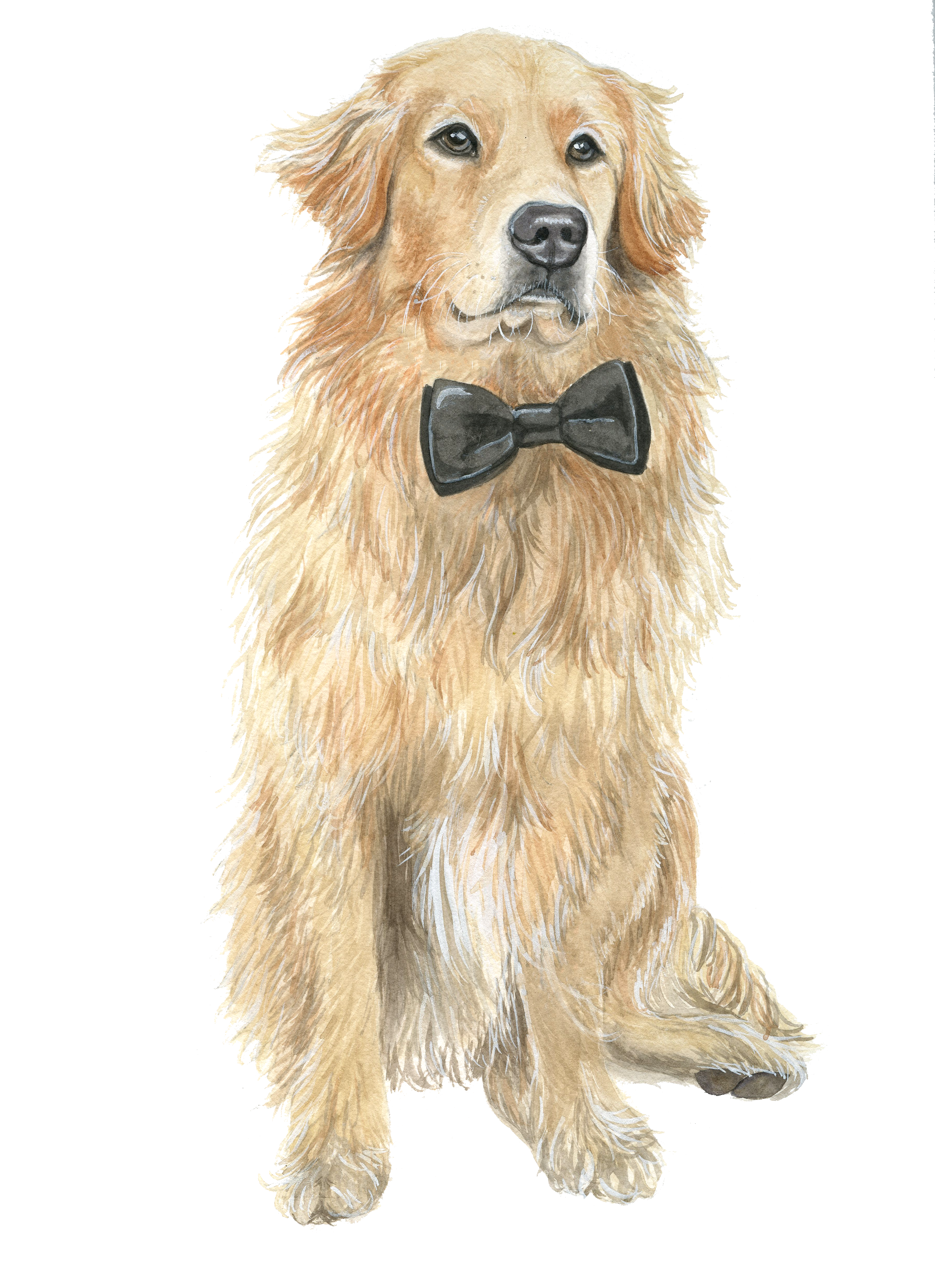 The Wedding Website of Olivia Reznik and Isadore Jackson