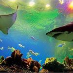 Aquaria KLCC, Kuala Lumpur.
