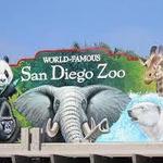 San Diego Zoo