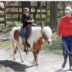 Deanna Rose Children's Farmstead