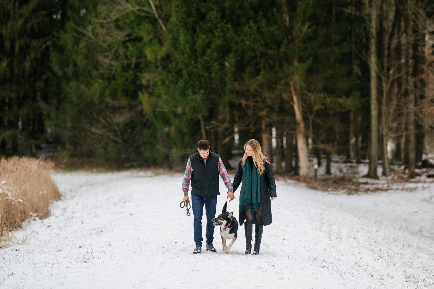 The Wedding Website of Nicole Zambory and David Rinicella