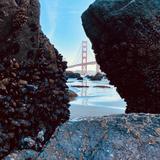 Crissy Field East Beach