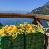 Path of Lemons Tour with Tasting