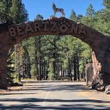 Bearizona Wildlife Park