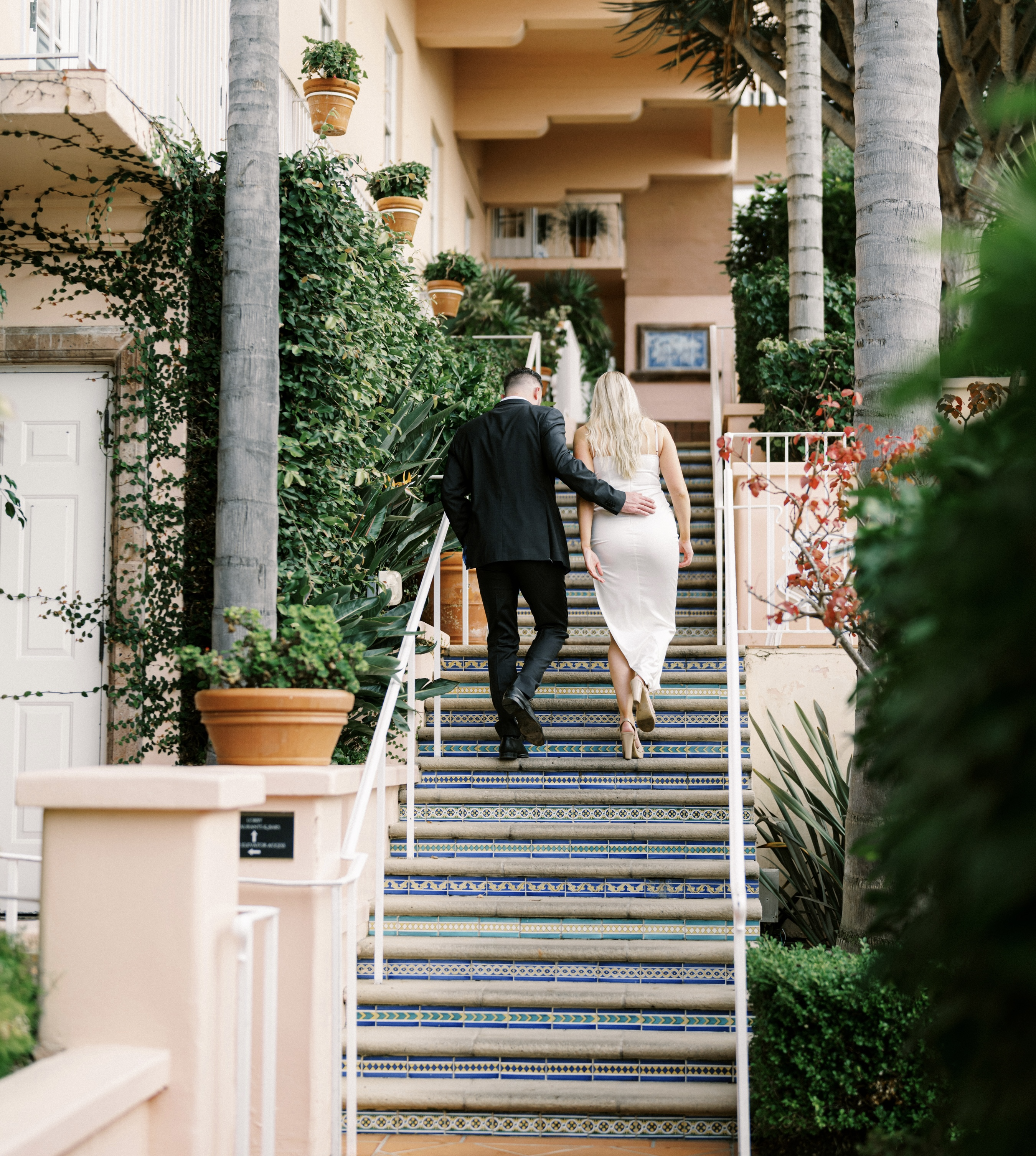 The Wedding Website of Taylor Stachacz and Tom Massa