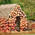 Cheekwood Botanical Gardens & Estate