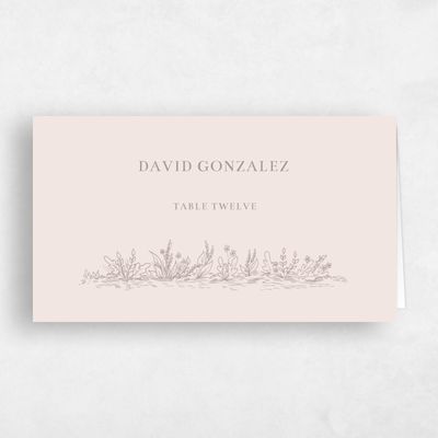 Blush, Pink Wedding Place Card - Manitou