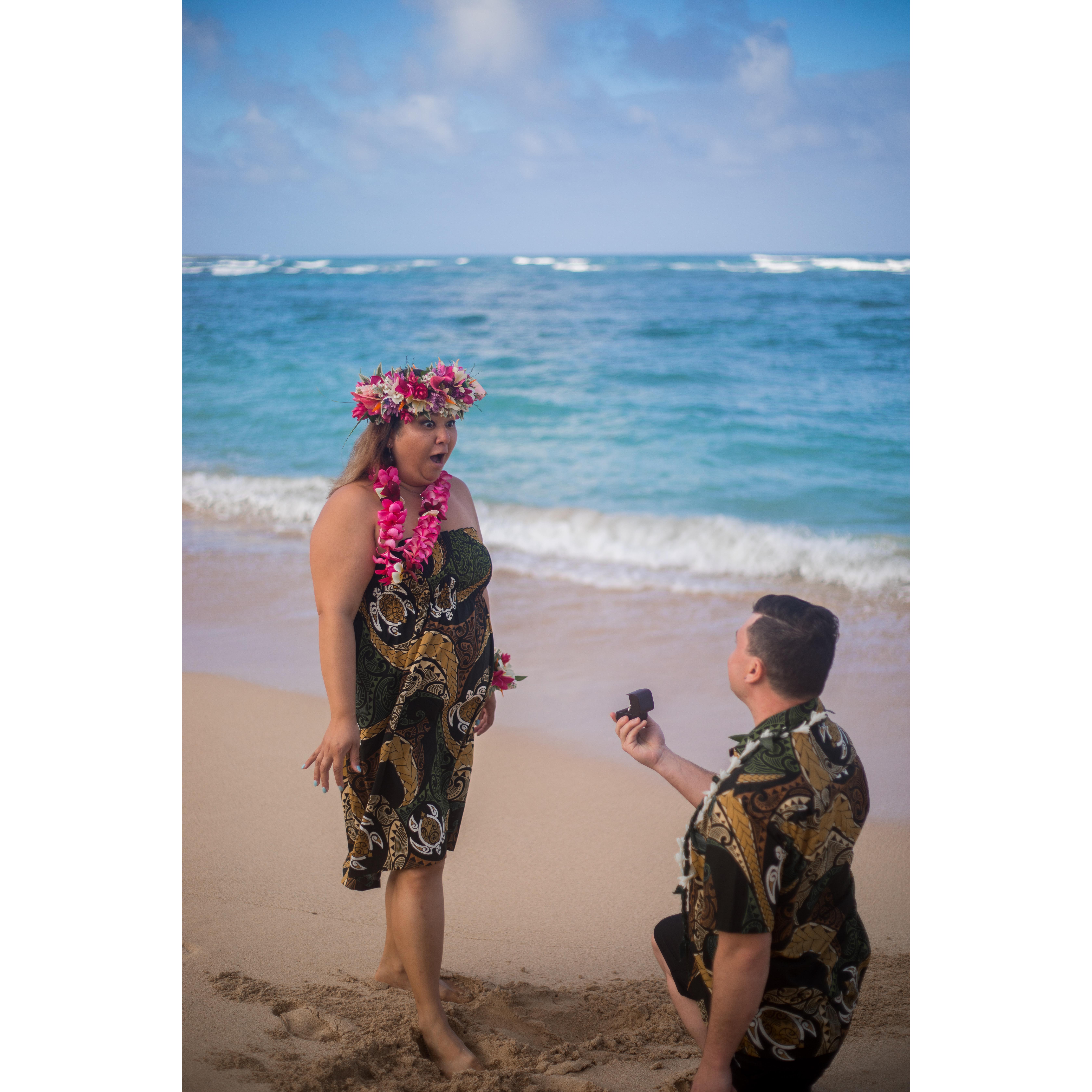 Hawai'i 2018---when Justin proposed to Deanna... and Deanna's genuine expression of shock.
