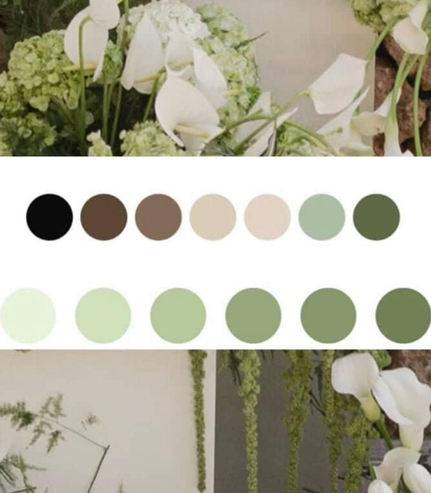 The Wedding Website of Anastasiia Bacon and Keith Bacon