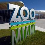 Zoo Miami