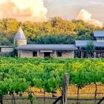 🍷 Dry Comal Creek Vineyards