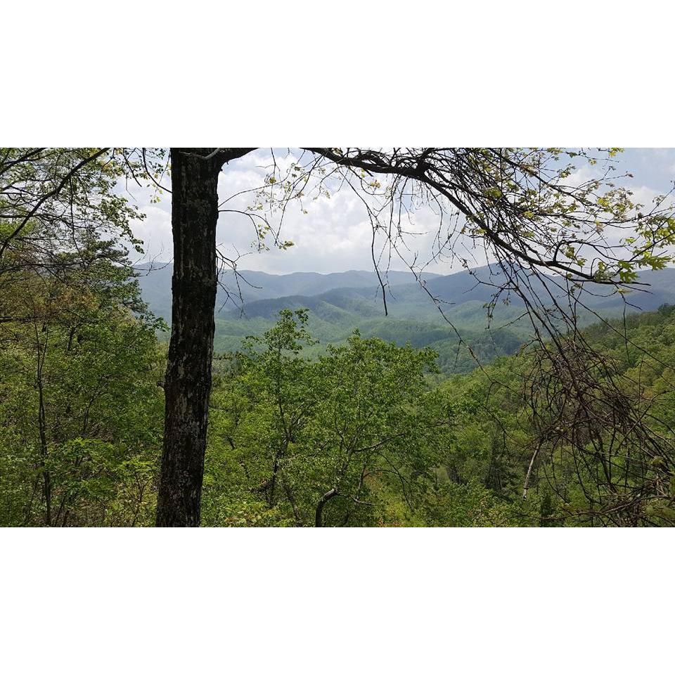 Our first trip we ever took together to the Smoky Mountains in Gatlinburg