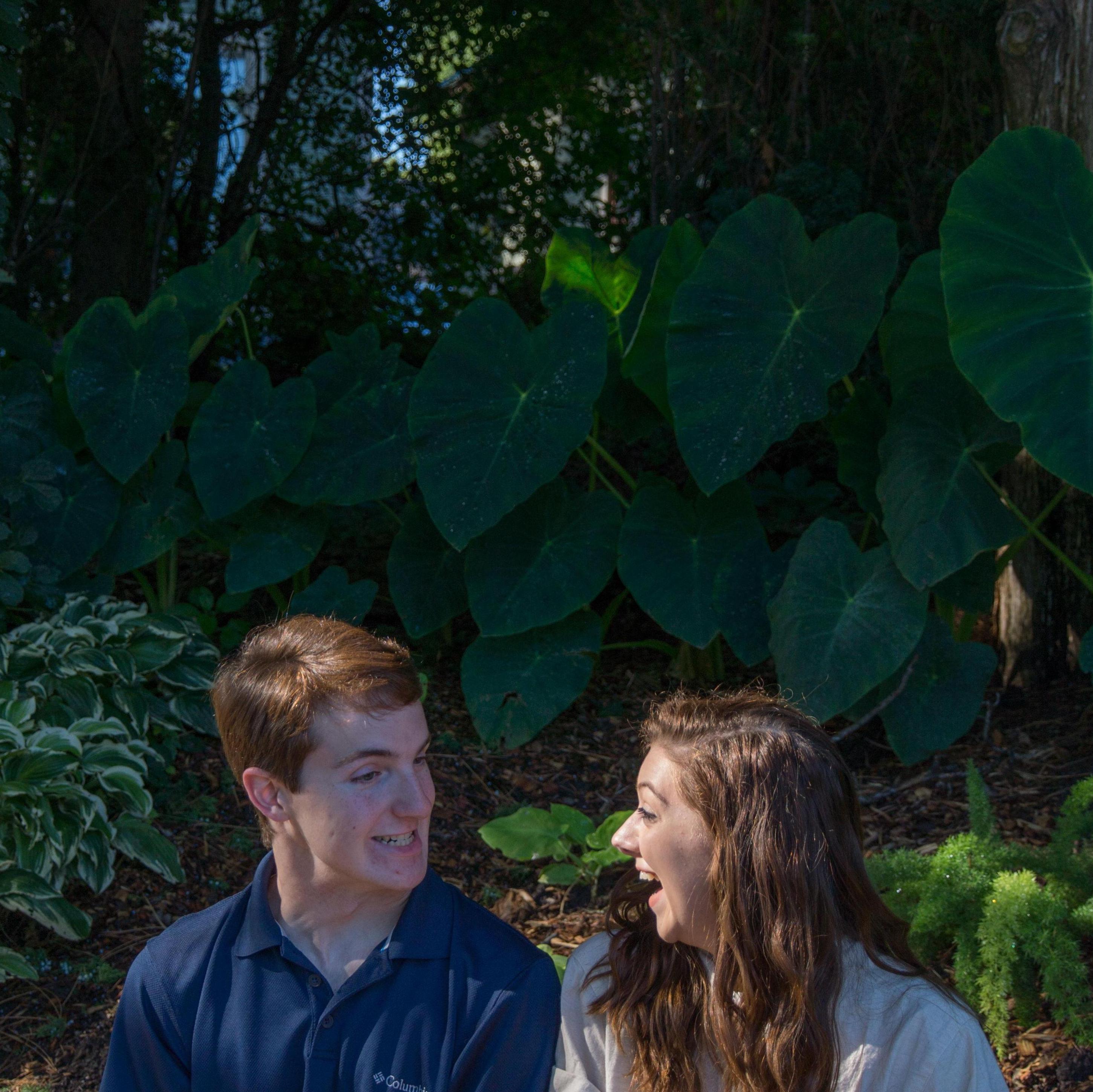 Sunken Gardens, 2014