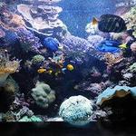 North Carolina Aquarium at Fort Fisher
