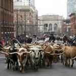 National Western Stock Show
