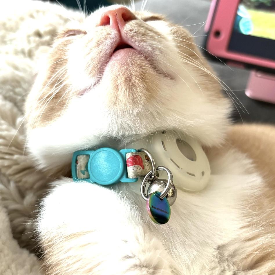 He’s pretty cute