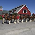 Warm Springs Ranch