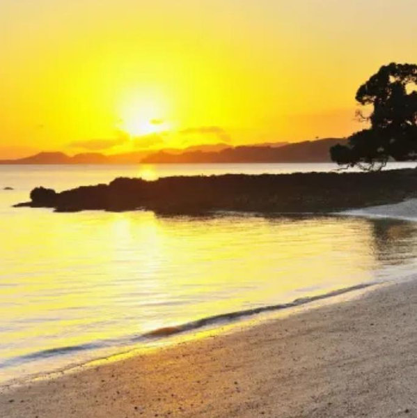 One Night in Auckland | Honeymoon