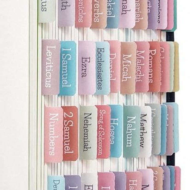 Cream Pastel Bible Tabs, Laminated Bible Tabs for Women and Girl, 90 Bible Tabs Old and New Testament, Includes 24 Blank Tabs, Bible Journaling Supplies, Bible Book Tabs, Christian Gift
