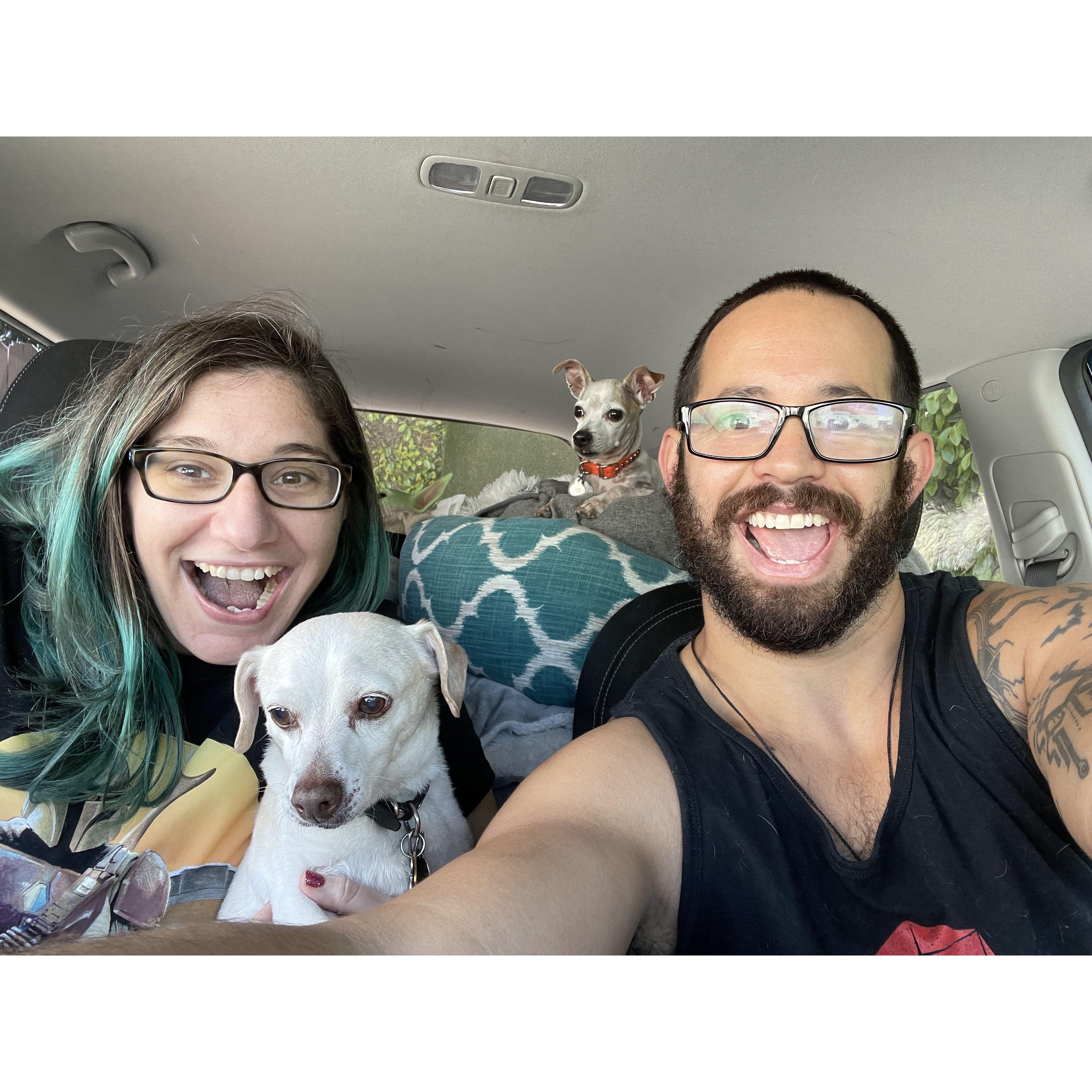 Family Road Trip