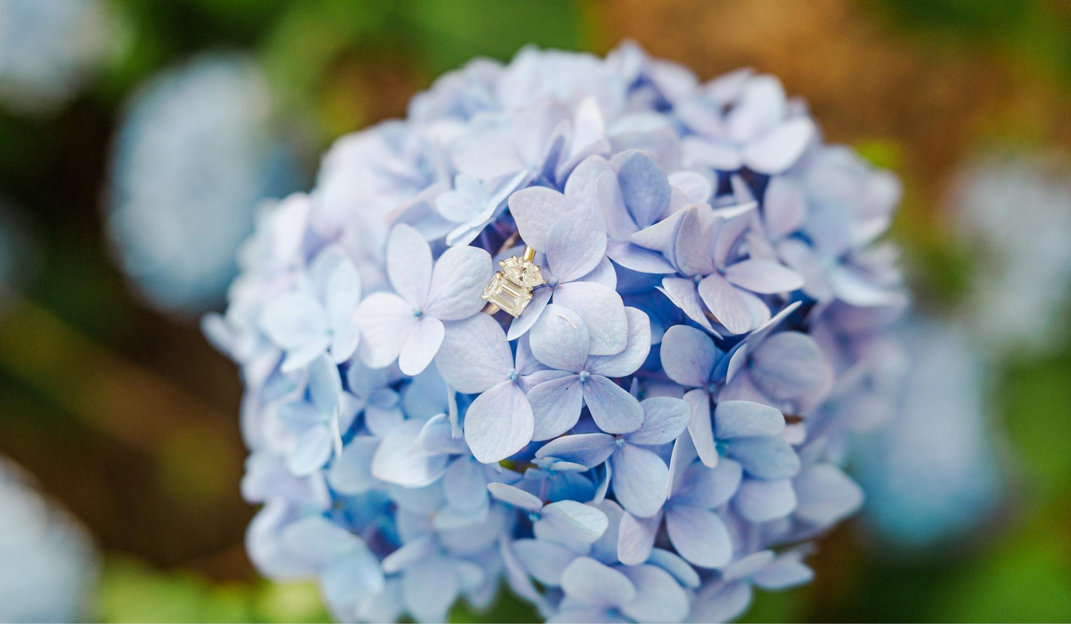 Footer image