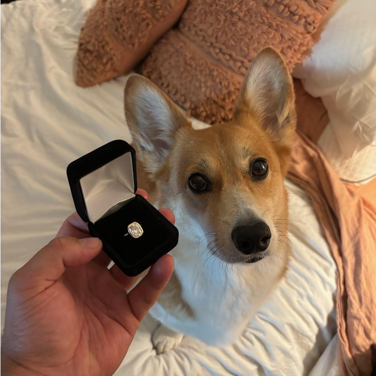 Aug 2024 - Max approved the ring