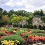 The North Carolina Arboretum