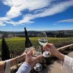 Willamette Valley Vineyards