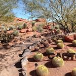 Red Hills Desert Garden