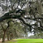 Forsyth Park