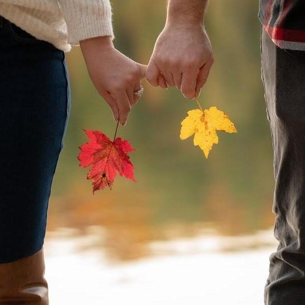 "It's delightful when your imaginations come true, isn't it?" - L.M.M., Anne of Green Gables