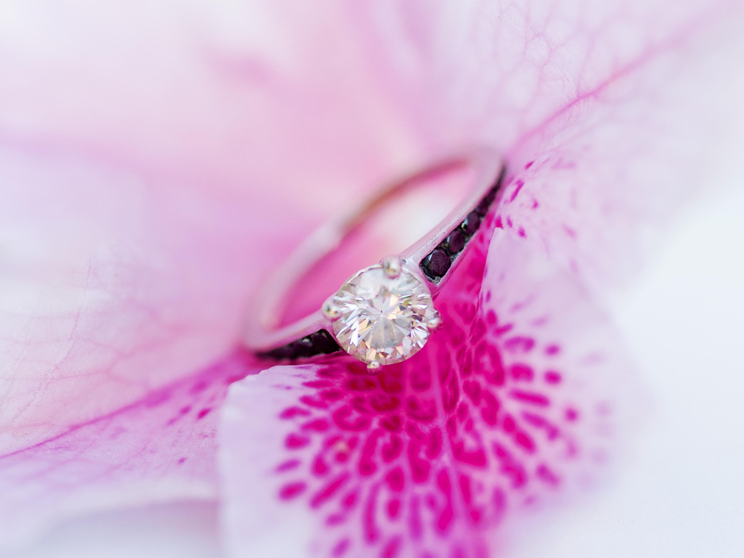 The Wedding Website of Margaret Garehan and Colin Burnham